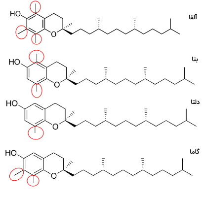 ساختار انواع ویتامین E - انواع لیپید