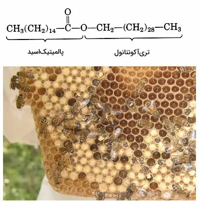 ساختار موم زنبور عسل