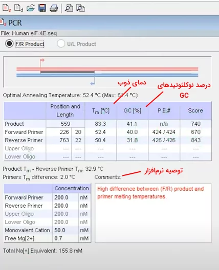 بررسی اطلاعات PCR در نرم افزار oligo