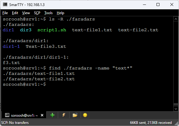 یافتن همه فایل‌هایی که نام آن‌ها با عبارت text شروع می‌شود به کمک دستور find در لینوکس