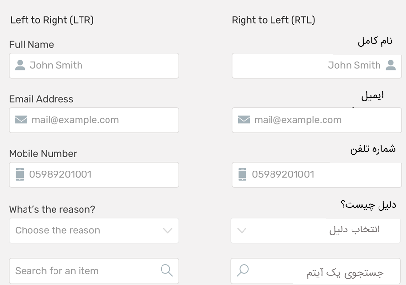 تصویری برای نمایش ورودی های فرم در طراحی RTL