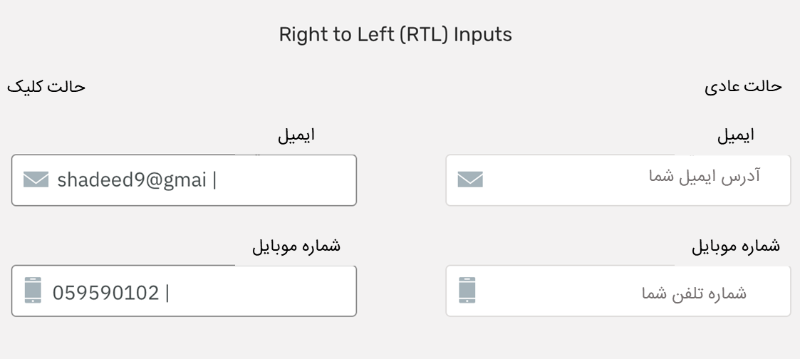 ورودی های فرم در حالت عادی و حالت کلیک شده در زبان های راست چین
