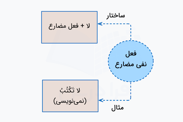 فعل نفی مضارع در عربی