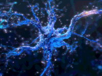 انتقال پیام عصبی بین نورون های مغز انسان 