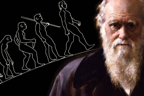 چارلز داروین نظریه‌پرداز نظریه تکامل