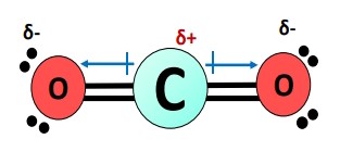 مولکول اکسیژن در دو طرف مولکول کربن