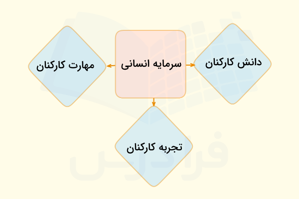 سرمایه انسانی چیست