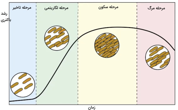 نمودار رشد باکتری ها 