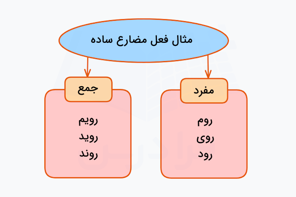 مثال فعل مضارع ساده