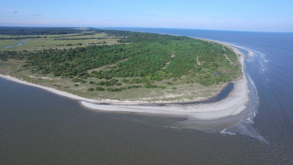 یک منطقه ساحلی شبیه جزیره با درخت - فلات قاره چیست