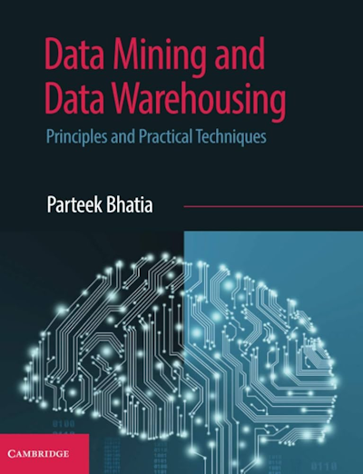 کتاب Data Mining and Data Warehousing: Principles and Practical Techniques برای یادگیری داده کاوی