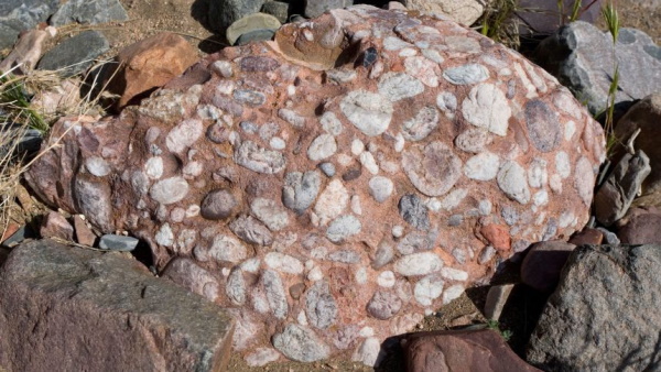 نمونه ای از یک سنگ رسوبی