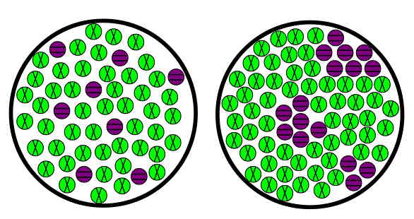 در دو سمت تصویر مجموعه‌ای از ذرات سبز و بنفش کنار هم قرار دارند.