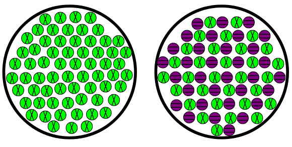 ذرات سبز در سمت چپ و مخلوطی از ذرات بنفش و سبز در سمت راست قرار دارند.