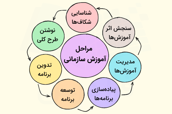 مراحل آموزش در سازمان