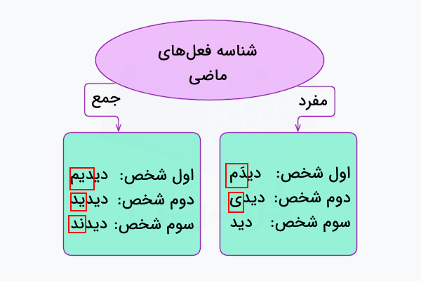 شناسه های فعل ماضی