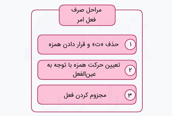 مراحل ساخت فعل امر