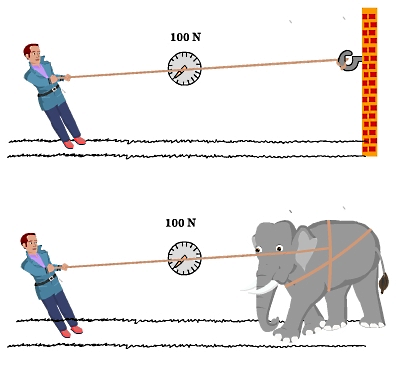 در بالای شکل، شخصی طناب وصل شده به دیوار را می‌کشد و در پایین طناب وصل شده به یک فیل