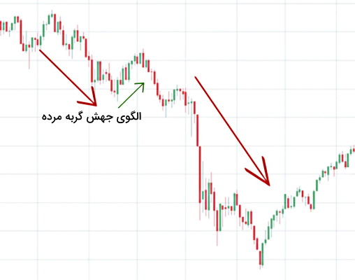 الگوی جهش گربه مرده