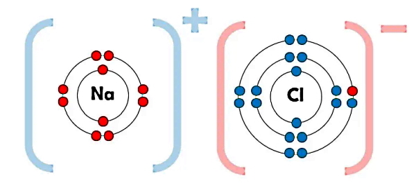 ذرات آبی و قرمز دور هسته‌هایی با نام Na و Cl