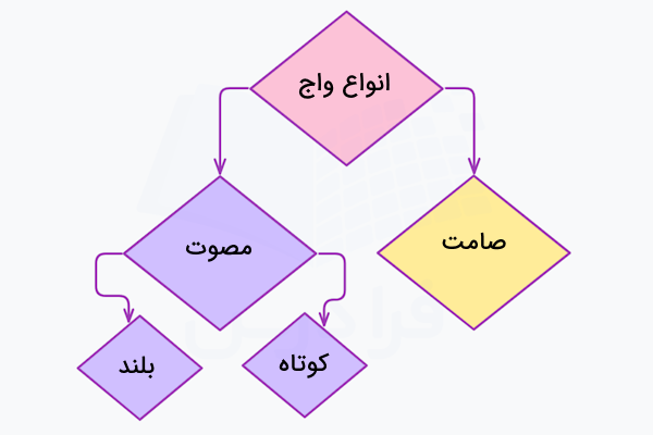 انواع واج