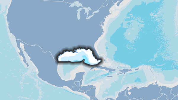 تصویر گرافیکی از نقشه خلیج مکزیک