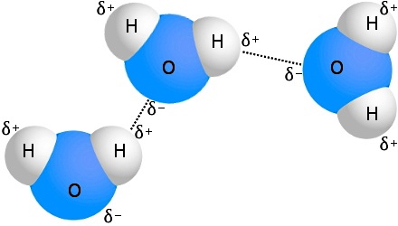 بخش‌های آبی با نام O به بخش‌هایی با نام H متصل شده‌اند.