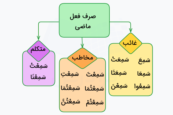 صرف فعل ماضی