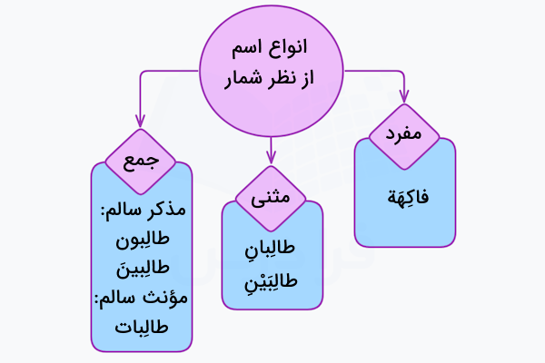 انواع اسم از نظر شمار