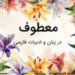 معطوف چیست؟ – در ادبیات فارسی با مثال و تمرین