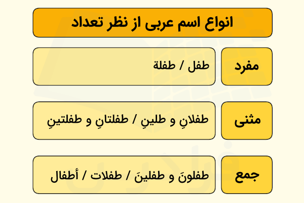 انواع اسم در عربی