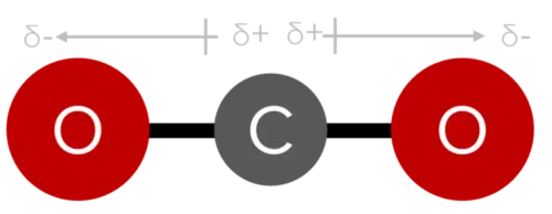 قطبییت مولکول کربن دی اکسید