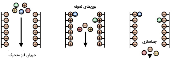 جداسازی در کروماتوگرافی تبادل یونی که جداسازی، یون‌های نمونه و جریان فاز متحرک در آن نمایش داده نشده است. 