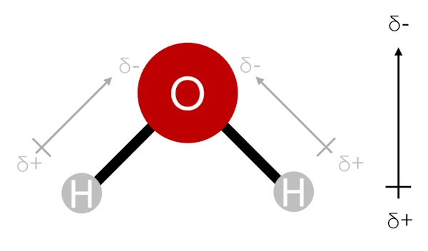 قطبیت مولکول آب