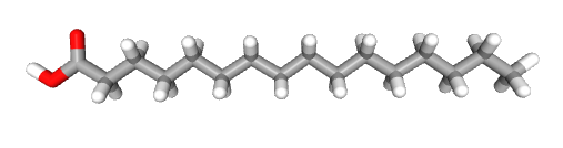 ساختار مولکول پالمیتیک اسید - اسید چرب اشباع و غیر اشباع