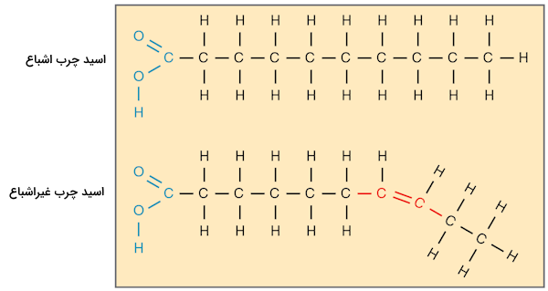 اسید چرب اشباع و غیر اشباع