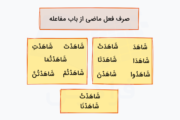 صرف فعل ماضی شاهد از باب مفاعله