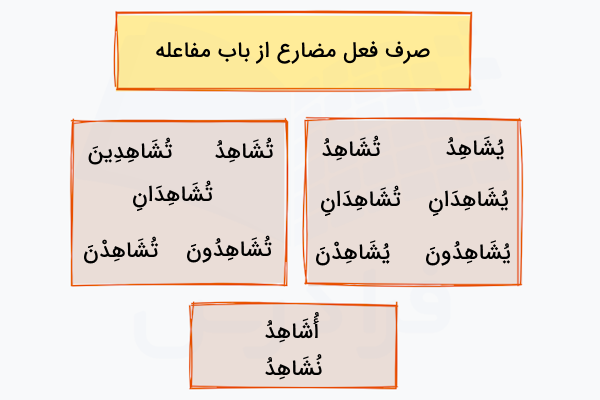 صزف فعل مضارع شاهد از باب مفاعله
