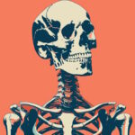 بافت استخوان چیست؟ – هرآنچه باید بدانید به زبان ساده