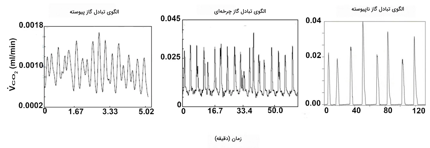 نمودار های الگوهای تبادل گازی در حشرات