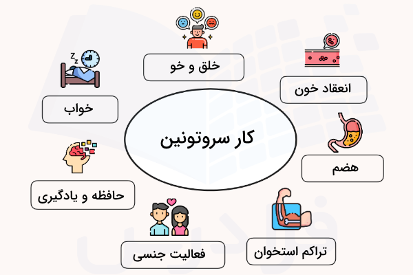 نقش سروتونین در بدن - کار سروتونین چیست