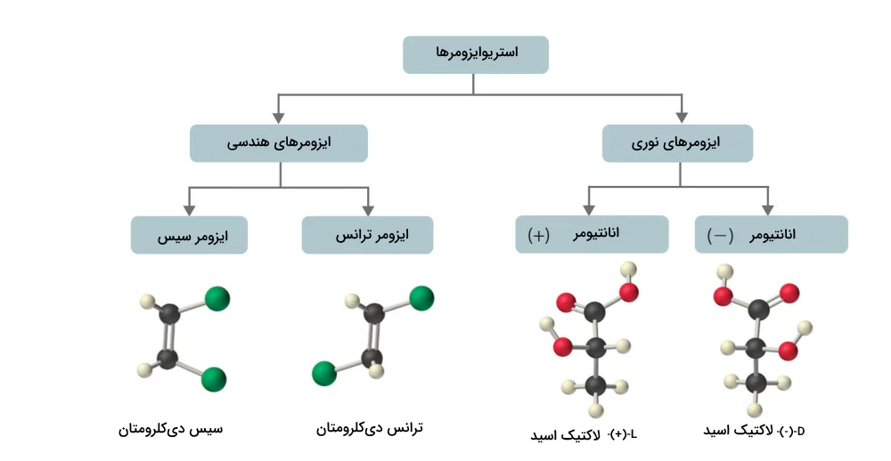 استریوایزومرها