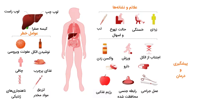 اینفوگرافیکی از عوامل خطرآفرین بیماری‌های کبدی، راه‌های پیگشیری و درمان و همچنین علائم این بیماری‌ها
