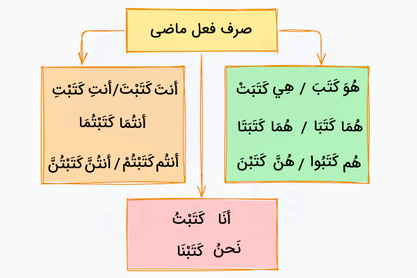 صرف فعل ماضی در عربی