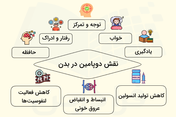 نقش دوپامین در بدن - دوپامین چیست 