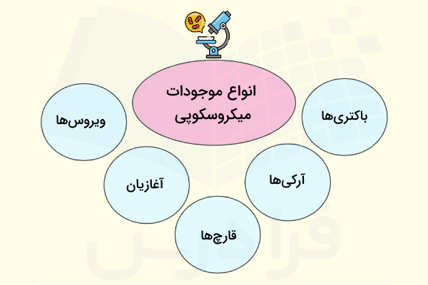انواع میکروارگانیسم ها - تفاوت میکروب با باکتری