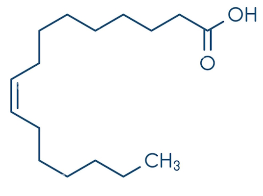 مولکول پالمیت اولئیک اسید (امگا ۷)