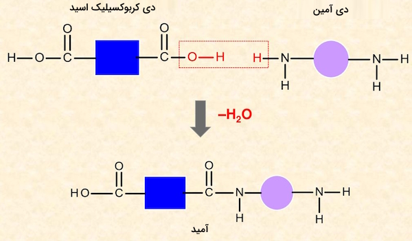 واکنش تولید آمید - فرمول های شیمی یازدهم