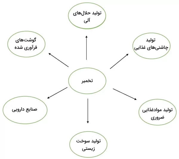 مثال‌هایی از کاربردهای تخمیر