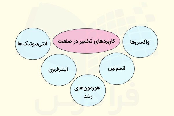 تولید محصولات مختلف در صنعت به کمک تخمیر جزو کاربردهای تخمیر در صنعت است